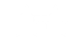 Premio club estrellas