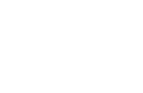 Platinum club